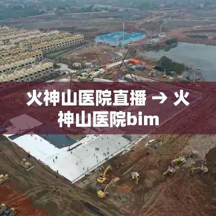 火神山医院直播 → 火神山医院bim 火神山医院直播 → 火神山医院bim