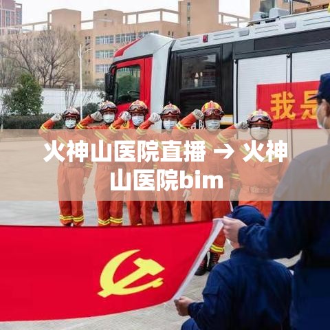 火神山医院直播 → 火神山医院bim 火神山医院直播 → 火神山医院bim