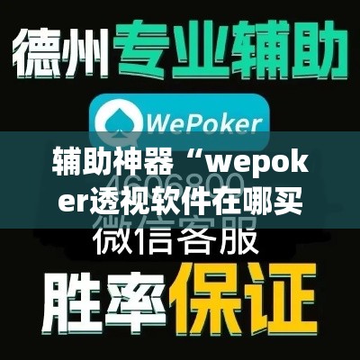 辅助神器“wepoker透视软件在哪买	”(透视挂)辅助透视教程