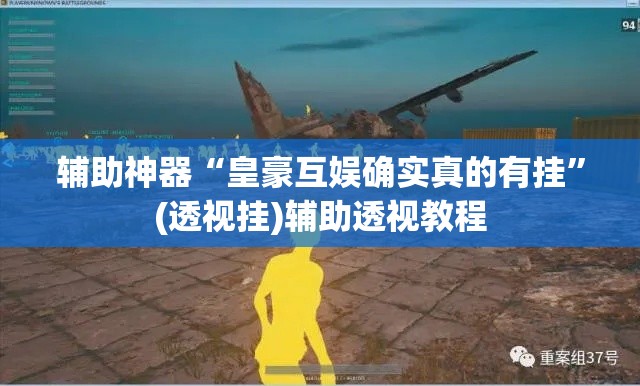 辅助神器“皇豪互娱确实真的有挂”(透视挂)辅助透视教程