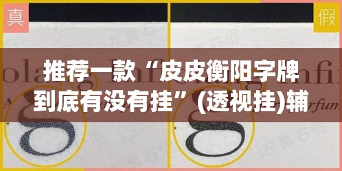 推荐一款“皮皮衡阳字牌到底有没有挂”(透视挂)辅助透视教程