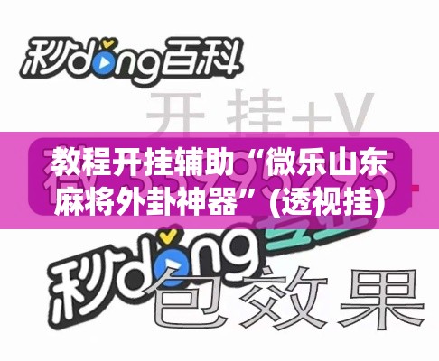 教程开挂辅助“微乐山东麻将外卦神器”(透视挂)辅助透视教程