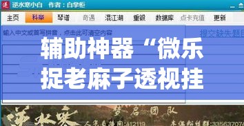 辅助神器“微乐捉老麻子透视挂”(透视挂)辅助透视教程