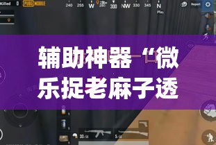 辅助神器“微乐捉老麻子透视挂”(透视挂)辅助透视教程