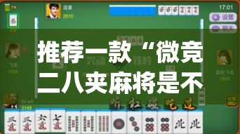 推荐一款“微竞二八夹麻将是不是有挂”(透视挂)辅助透视教程