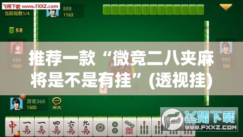 推荐一款“微竞二八夹麻将是不是有挂	”(透视挂)辅助透视教程