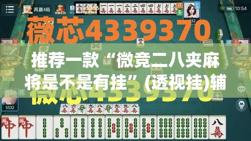推荐一款“微竞二八夹麻将是不是有挂”(透视挂)辅助透视教程