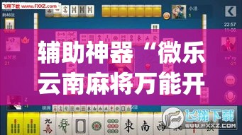 辅助神器“微乐云南麻将万能开挂器”(透视挂)辅助透视教程