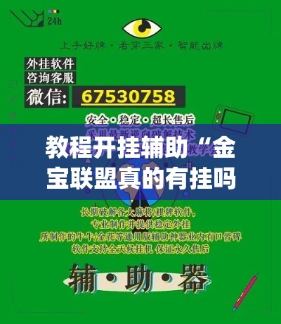 教程开挂辅助“金宝联盟真的有挂吗”(透视挂)辅助透视教程