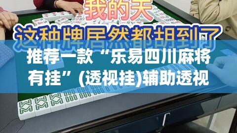 推荐一款“乐易四川麻将有挂”(透视挂)辅助透视教程