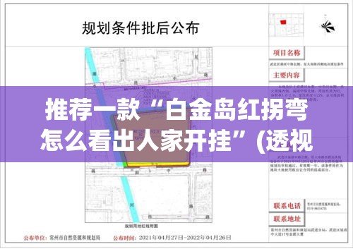 推荐一款“白金岛红拐弯怎么看出人家开挂”(透视挂)辅助透视教程