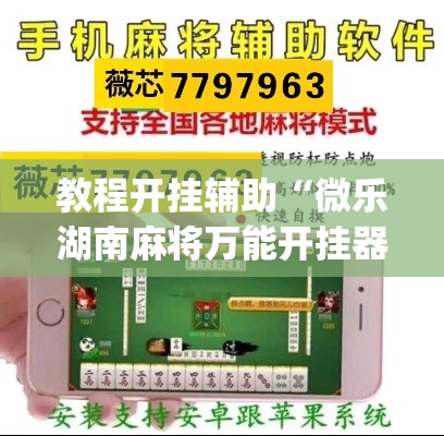教程开挂辅助“微乐湖南麻将万能开挂器免费”(透视挂)辅助透视教程