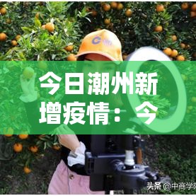 今日潮州新增疫情:今日潮州新增疫情情况 今日潮州新增疫情:今日潮州新增疫情情况