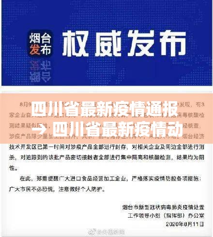 四川省最新疫情通报 → 四川省最新疫情动态