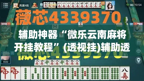 辅助神器“微乐云南麻将开挂教程”(透视挂)辅助透视教程
