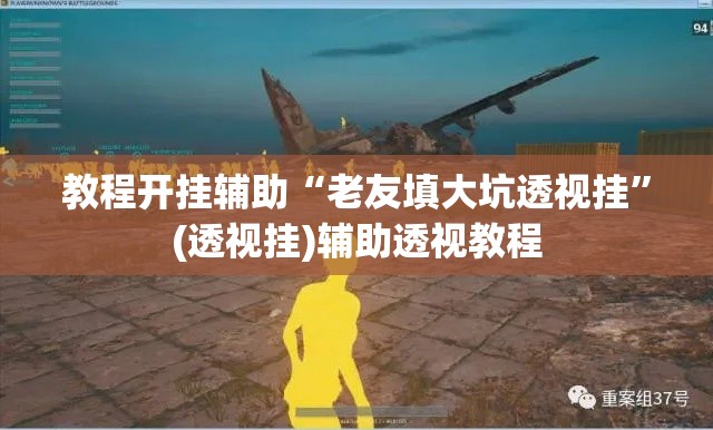 教程开挂辅助“老友填大坑透视挂	”(透视挂)辅助透视教程