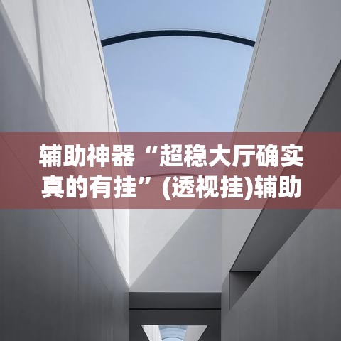 辅助神器“超稳大厅确实真的有挂”(透视挂)辅助透视教程