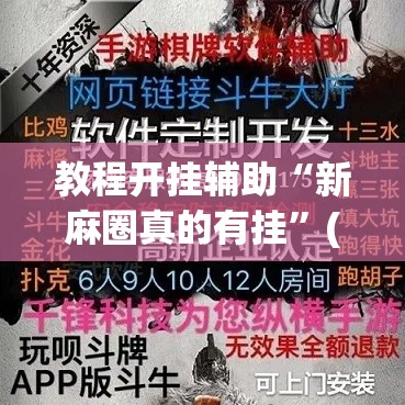 教程开挂辅助“新麻圈真的有挂”(透视挂)辅助透视教程