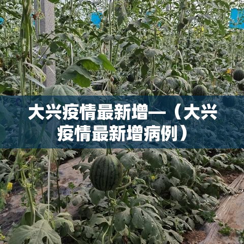 大兴疫情最新增—(大兴疫情最新增病例) 大兴疫情最新增—(大兴疫情最新增病例)