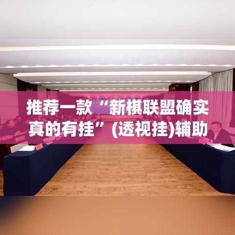 推荐一款“新棋联盟确实真的有挂”(透视挂)辅助透视教程