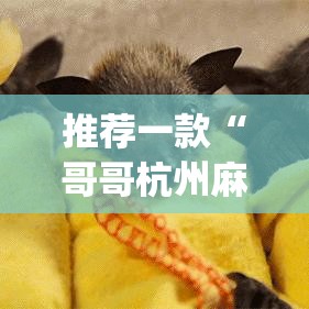推荐一款“哥哥杭州麻将软件开挂器”(透视挂)辅助透视教程