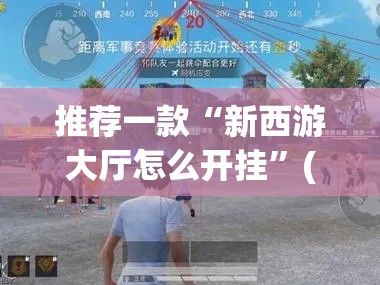推荐一款“新西游大厅怎么开挂”(透视挂)辅助透视教程
