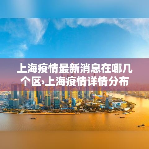 上海疫情最新消息在哪几个区›上海疫情详情分布