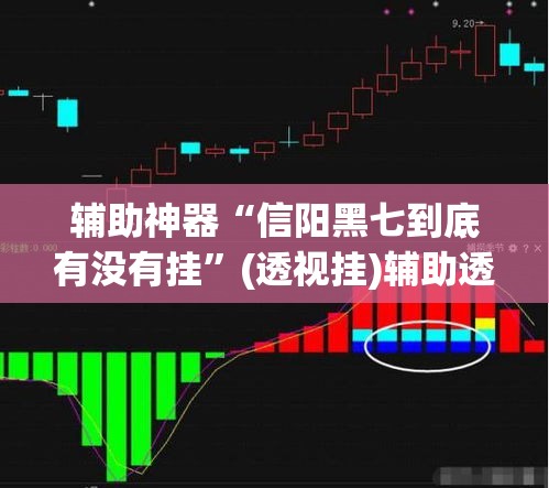 辅助神器“信阳黑七到底有没有挂”(透视挂)辅助透视教程