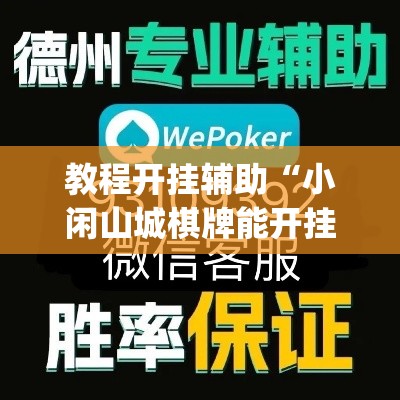 教程开挂辅助“小闲山城棋牌能开挂吗”(透视挂)辅助透视教程