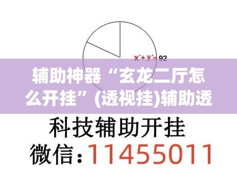辅助神器“玄龙二厅怎么开挂”(透视挂)辅助透视教程
