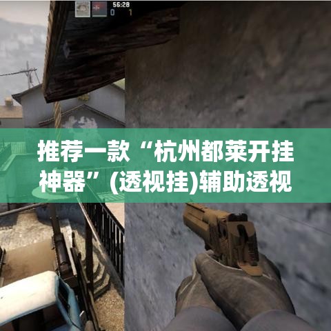 推荐一款“杭州都莱开挂神器”(透视挂)辅助透视教程