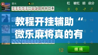 教程开挂辅助“微乐麻将真的有挂吗	”(透视挂)辅助透视教程