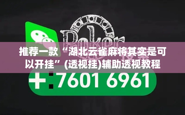 推荐一款“湖北云雀麻将其实是可以开挂”(透视挂)辅助透视教程
