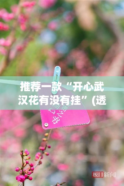 推荐一款“开心武汉花有没有挂	”(透视挂)辅助透视教程