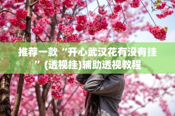 推荐一款“开心武汉花有没有挂”(透视挂)辅助透视教程