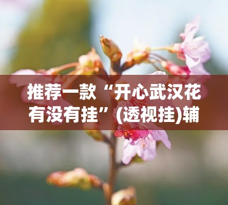 推荐一款“开心武汉花有没有挂	”(透视挂)辅助透视教程