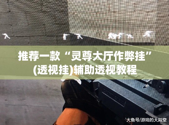 推荐一款“灵尊大厅作弊挂”(透视挂)辅助透视教程