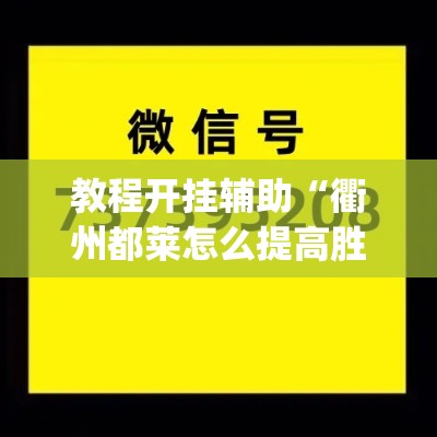 教程开挂辅助“衢州都莱怎么提高胜率”(透视挂)辅助透视教程
