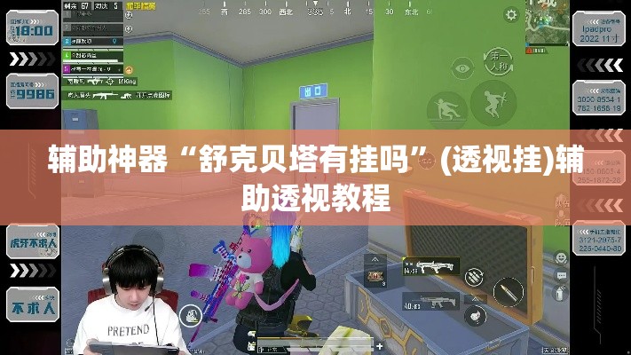 辅助神器“舒克贝塔有挂吗”(透视挂)辅助透视教程