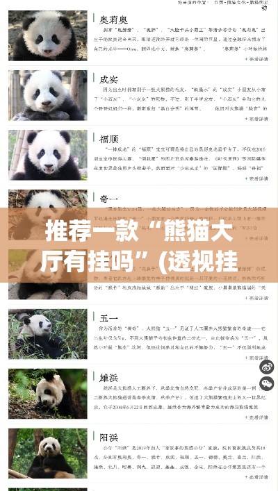 推荐一款“熊猫大厅有挂吗”(透视挂)辅助透视教程