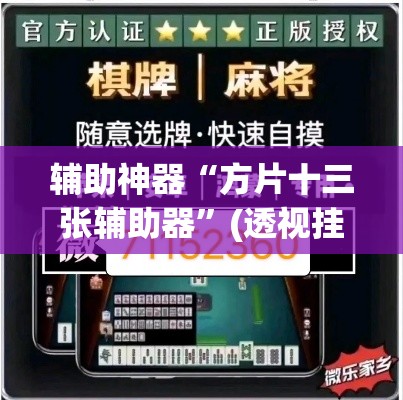 辅助神器“方片十三张辅助器”(透视挂)辅助透视教程