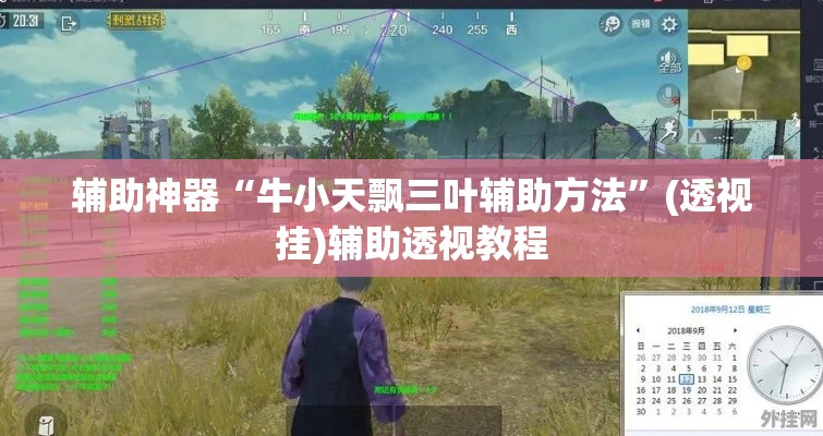 辅助神器“牛小天飘三叶辅助方法”(透视挂)辅助透视教程