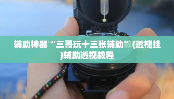 辅助神器“三哥玩十三张辅助”(透视挂)辅助透视教程