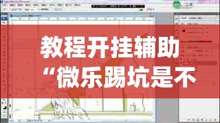 教程开挂辅助“微乐踢坑是不是有透视挂吗	”(透视挂)辅助透视教程