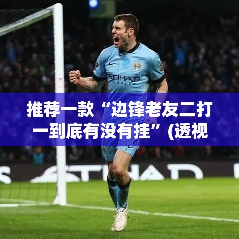 推荐一款“边锋老友二打一到底有没有挂”(透视挂)辅助透视教程