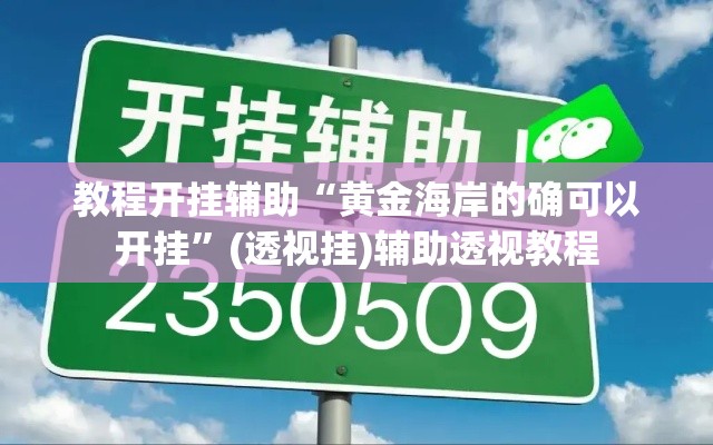 教程开挂辅助“黄金海岸的确可以开挂	”(透视挂)辅助透视教程