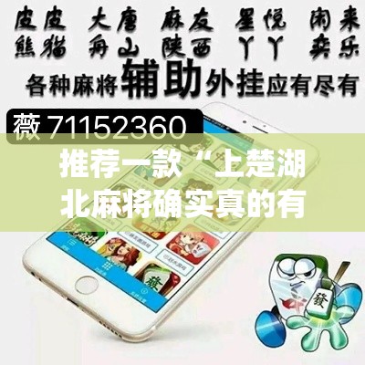 推荐一款“上楚湖北麻将确实真的有挂”(透视挂)辅助透视教程