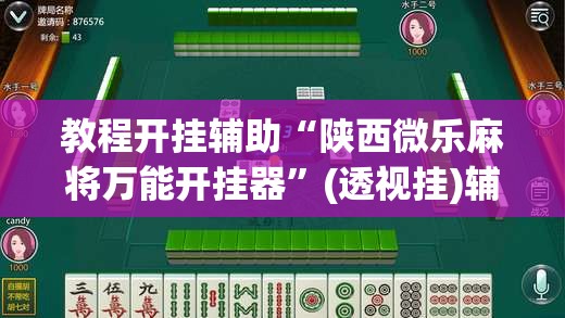 教程开挂辅助“陕西微乐麻将万能开挂器”(透视挂)辅助透视教程