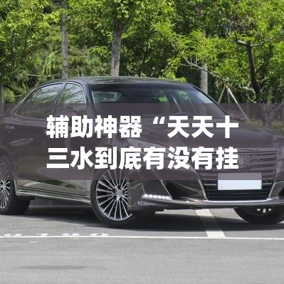 辅助神器“天天十三水到底有没有挂”(透视挂)辅助透视教程