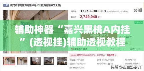 辅助神器“嘉兴黑桃A内挂	”(透视挂)辅助透视教程